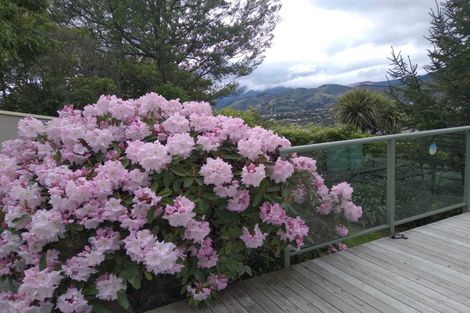 Photo of property in 179 Princes Drive, Britannia Heights, Nelson, 7010