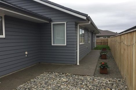 Photo of property in 8 Paioke Street, Waikanae, 5036