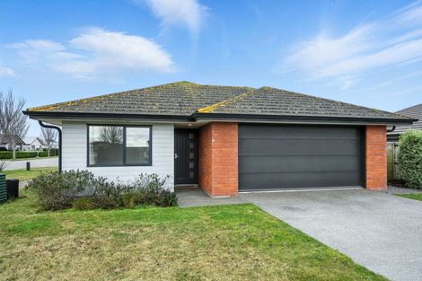 Photo of property in 73 Barnes Street, Pegasus, 7612