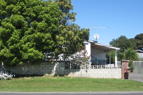 Photo of property in 113a Sheehan Street, Whataupoko, Gisborne, 4010