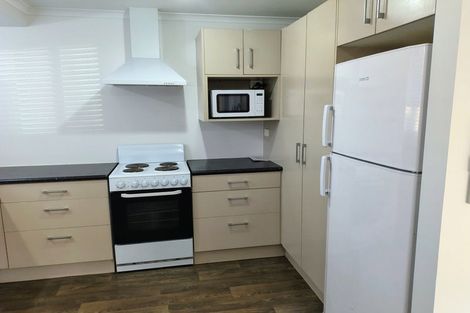 Photo of property in 11b Beaumont Street, Hamilton East, Hamilton, 3216