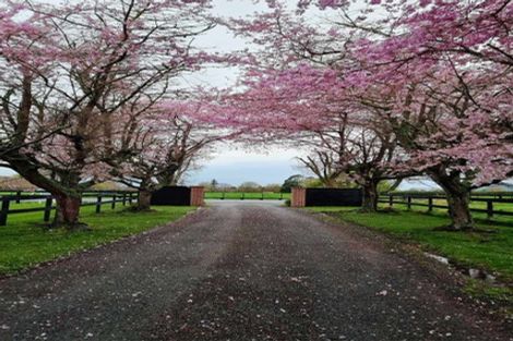 Photo of property in 161 Hautapu Road, Pukemoremore, Cambridge, 3493