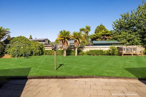 Photo of property in 146 Ross Street, Pirongia, 3802