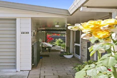 Photo of property in 79a Grey Street, Cambridge, 3434