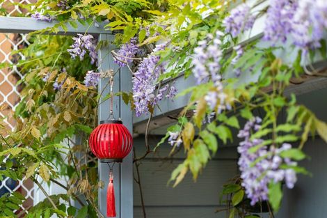 Photo of property in 12 Helena Street, Massey, Auckland, 0614