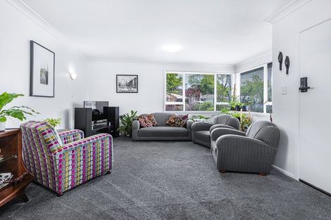 Photo of property in 15 Glenview Terrace, Glenview, Hamilton, 3206