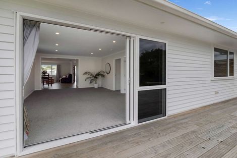 Photo of property in 113 Stanford Street North, Ashhurst, 4810