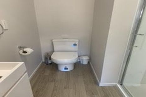 Photo of property in 94a Cook Street, Hamilton East, Hamilton, 3216