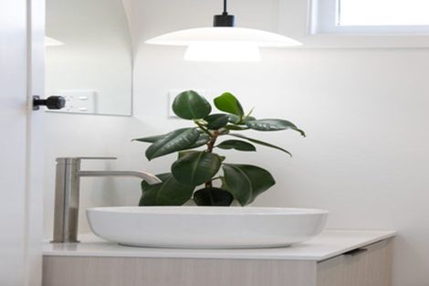 Photo of property in 18 Dover Street, St Albans, Christchurch, 8014