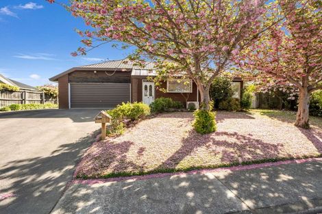 Photo of property in 213a White Street, Rangiora, 7400