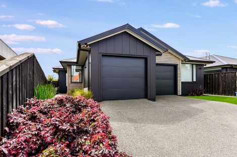 Photo of property in 14u2 Mitcham Avenue, Forest Lake, Hamilton, 3200