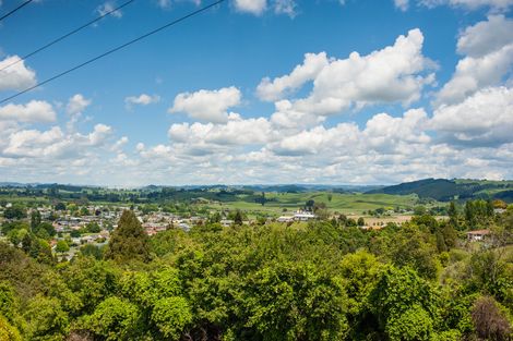 Photo of property in 66 Mountain View Road, Otorohanga, 3900