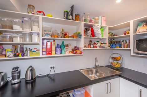 Photo of property in 223d Lowes Road, Rolleston, 7614