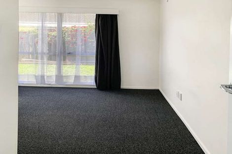 Photo of property in 179 Tiro Tiro Road, Levin, 5510