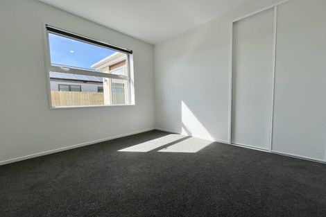 Photo of property in 23 Rita Angus Road, Belfast, 8051