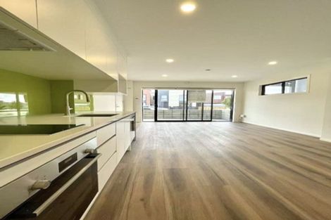Photo of property in 67 Joshua Carder Drive, Hobsonville, Auckland, 0616