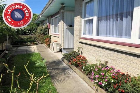 Photo of property in 210a/2 Grove Road, Mayfair, Hastings, 4122