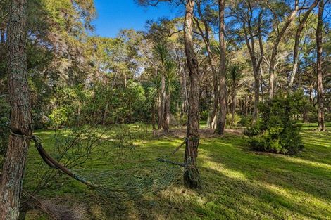 Photo of property in 449 Grieve Road, Te Teko, Whakatane, 3193