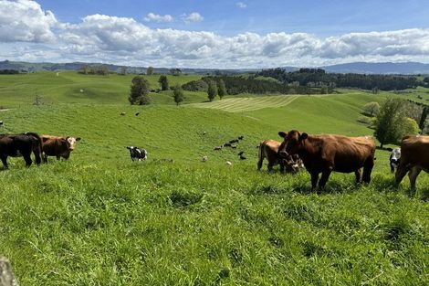 Photo of property in 829 Honikiwi Road, Honikiwi, Otorohanga, 3973