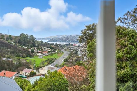 Photo of property in 483 South Road, Calton Hill, Dunedin, 9012