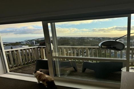 Photo of property in 25 Sugarloaf Road, Brooklyn, Wellington, 6021