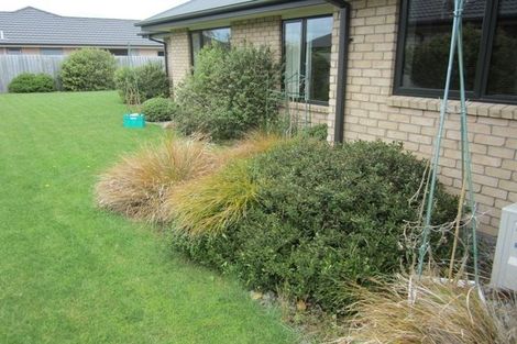 Photo of property in 30 Mccauley Street, Rolleston, 7614