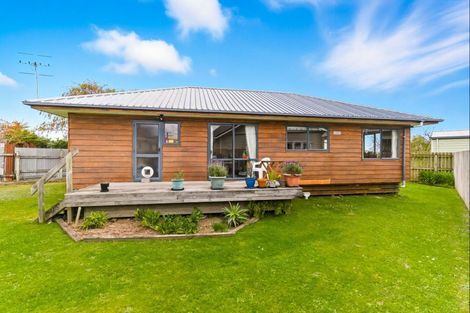 Photo of property in 57 Tiro Tiro Road, Levin, 5510