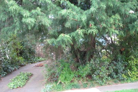 Photo of property in 111 Herewaka Street, Thames, 3500