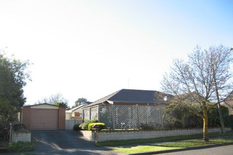 Photo of property in 19 Grant Street, Havelock North, 4130