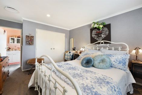 Photo of property in 22c Hunter Street, Hamilton Lake, Hamilton, 3204