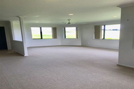 Photo of property in 1707 Mangawhai Road, Mangawhai, Wellsford, 0975