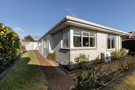 Photo of property in 17 Balmacewen Place, Mount Maunganui, 3116