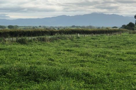 Photo of property in 155 Tauhei Road, Mangateparu, 3375