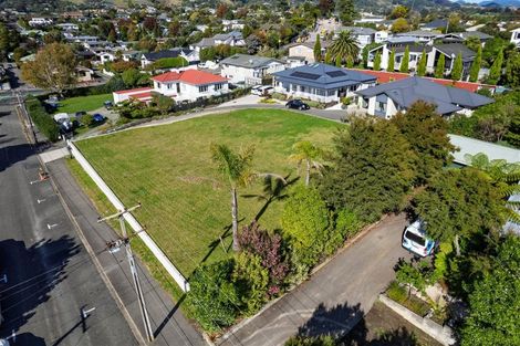 Photo of property in 7 Dorset Street, Richmond, 7020