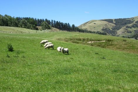 Photo of property in 3928 Porangahau Road, Porangahau, Waipukurau, 4284