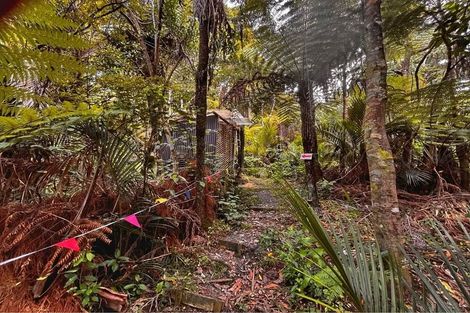 Photo of property in 41 Lone Kauri Road, Karekare, New Lynn, 0772