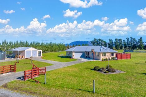 Photo of property in 114 Purchas Road, Glasnevin, Amberley, 7482