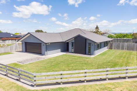 Photo of property in 39 Costello Drive, Ngatea, 3503