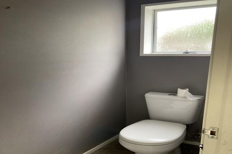 Photo of property in 34 Mcmeekan Avenue, Chartwell, Hamilton, 3210