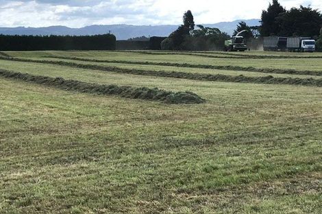 Photo of property in 51a Tahuna Road, Te Teko, 3192