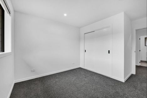 Photo of property in 119a Hamlet Street, Stratford, 4332