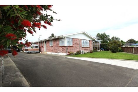 Photo of property in 65 Leefield Street, Blenheim, 7201