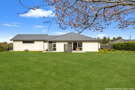 Photo of property in 3 Aberdeen Place, Amberley, 7410