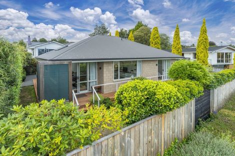 Photo of property in 46a Mere Road, Taupo, 3330
