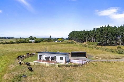 Photo of property in 1121 Parewanui Road, Parewanui, Bulls, 4894