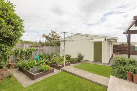 Photo of property in 137a Queen Street, Richmond, 7020