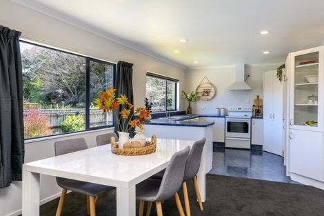 Photo of property in 55 Roto Street, Hurdon, New Plymouth, 4310