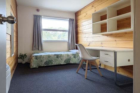 Photo of property in Drummond Street Flats, 15/19u Drummond Street, Mount Cook, Wellington, 6021