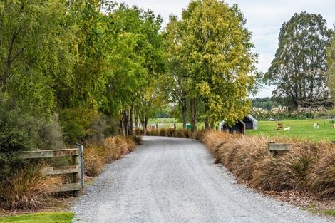 Photo of property in 111 Beeby Road, Orari, Temuka, 7986