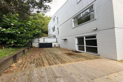 Photo of property in Fernhill Flats, 3/324 The Terrace, Te Aro, Wellington, 6011